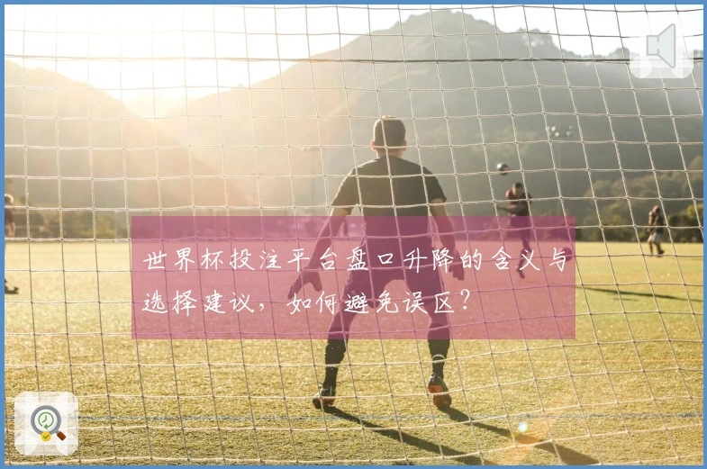 世界杯投注平台盘口升降的含义与选择建议，如何避免误区？