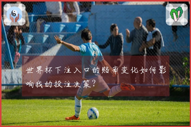 世界杯下注入口的赔率变化如何影响我的投注决策？